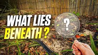 Completely Hidden For YEARS! I Found This Rug Whilst Cleaning Up A Garden! Satisfying ASMR Timelapse