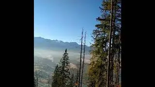Amazing Winter snowy Mountain Birdsong  Forest Background video  | No copyright footage