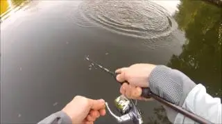 FishComm Shop: Аква Толстяк SR-35. Возвращение.