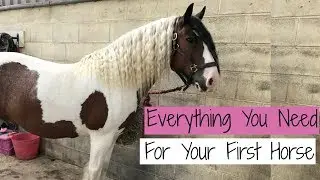 Everything You Need For Your First Horse
