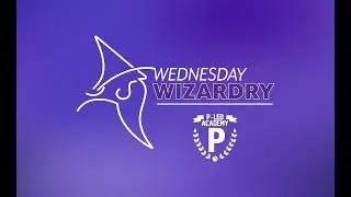 6: LW8 Training: Vectorizing, On Screen Digitizing, Freehand Drawing