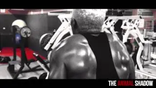 IN IRON WE TRUST - ANIMAL SHADOW - FITNESS MODEL