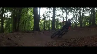 Santa Cruz - Chameleon