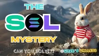 SOLANA Found In A Wallet UP FOR GRABS!! ADVANTAGE For Those WITH CRYPTO KNOWLEDGE!! #SOLANA #BITCOIN