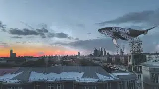 Whales whales vfx (Blender, Cycles)