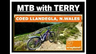 Coed Llandegla, North Wales (One Planet)