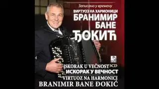 Branimir - Bane Djokic - Dankino kolo - (Audio 2017) HD