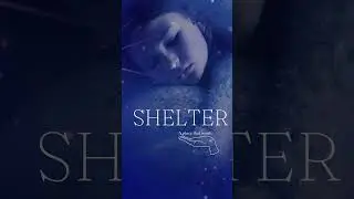 The Power of Shelter: Creating Equilibrium within Your Inner and Outer Worlds #innerpeace #shorts
