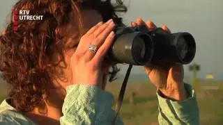 Verhalen van de Eem: - zo 29 jun 2014, 07:10 uur [RTV Utrecht]