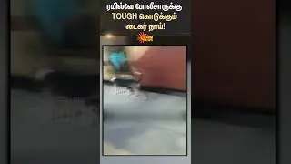 Viral Video | Chennai Central Railway Police | Tiger Dog | Southern Railway | Sun News