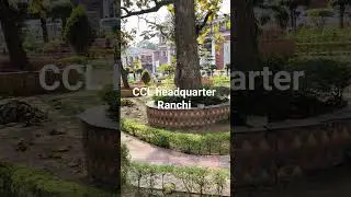 CCL headquarter Ranchi  Hindi song @PawanSinghVlog999