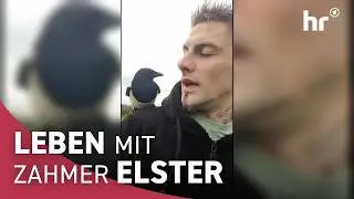Wie eine kleine Elster das Herz von zwei Menschen eroberte