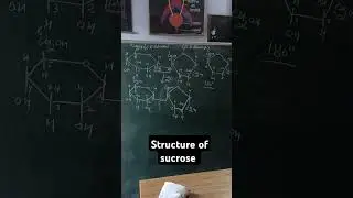 structure of sucrose #biomolecules