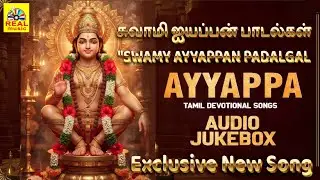 பம்பையிலே பிறந்தவனே 