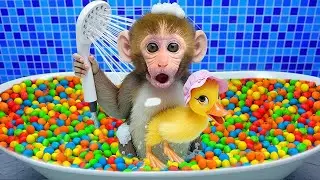 小猴子 Gogo 被小鴨嚇到了 🛁🦆😲| Gogo Monkey Life