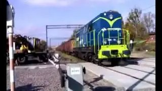 [ PKP Cargo ] SM31-115 @ TG Strzybnica - manewry. [LQ]