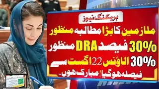 Punjab Govt&rsquo;s Big Decision on 30% Disparity Allowance | Salary Increase 2025| Pension Budget 2025-26
