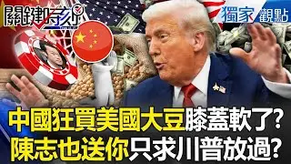 中國狂買美國大豆「跪求川普放過」委內瑞拉石油都送你？！ 陳志手握股東名單「能炸翻中南海」紅二代把柄都在他手中？！ -【關鍵時刻】 張炤和