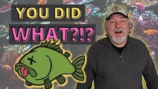 What To Do With Dead Fish  -  Here Are Several Uses for Dead Fish You Didn't Think Of