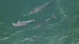 Outer Banks Drone Footage 2021
