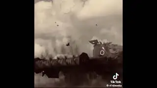 Tiktok: Sherman Crab (@47dimmka)