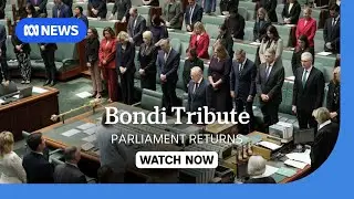 LIVE: Parliament returns to pay tribute to victims of Bondi terror attack | ABC NEWS