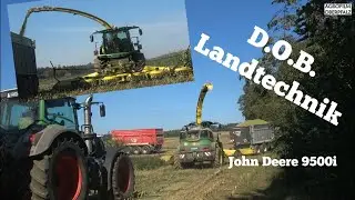 Hirsch tobt im Mais | XL-Maisernte mit John Deere 9500 i | DOB Landtechnik | K&Ouml;HL Harvest