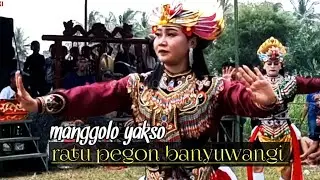 Jaranan pegon banyuwangi terbaru 2025 || manggolo yakso sumber harjo belitang OKU TIMUR 