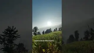 Dawn & Dusk - Day 33
