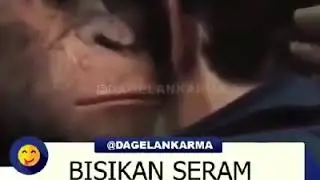 Monyet bisa bicara lucu ngakak parah