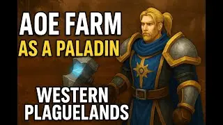 Hardcore wow AOE Paladin Guide.