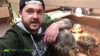 Merry Christmas from theTurtleRoom!
