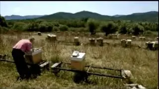 Sardiniens t&ouml;dliches Geheimnis - Uranmunition und andere Gifte des Milit&auml;rs
