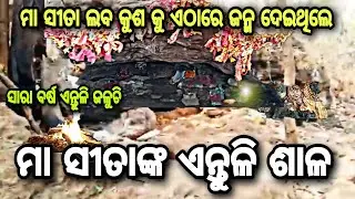 ମା ସୀତାଙ୍କ ଏନ୍ତୁଳି ଶାଳ // kapilash sita antudisala // MAA SITA ANTULISALA // Raj biswal vlogs