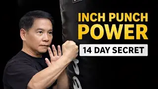 Unlock Devastating Wing Chun Inch Punch Power in 14 Days