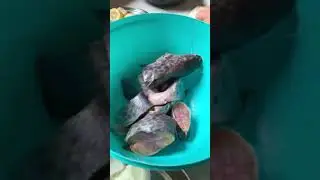 Peixe de couro ao molho