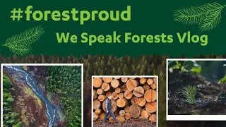 How Vermont is Growing Forests and Communities | Speaking Forest Interview