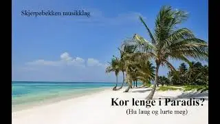 Skjerpebekken musikklag - Hu laug og lurte meg.