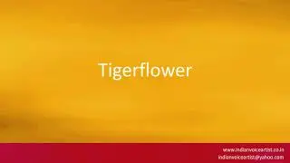 How to pronounce the word(s) 
