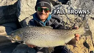 Chasing Brown Trout in Kenosha | November Shore Fishing