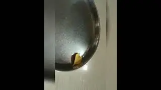 Easy science project of small Boat⛵👆