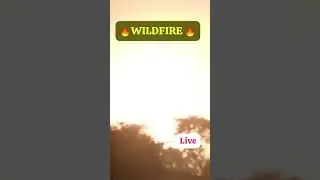 wildfire 💥💥💥#wildfire #wildfires #wildfireupdates #wildfire2025 #wildfireimpact #trendingshorts