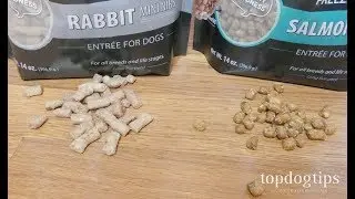 Vital Essentials Freeze Dried Dog Food and Treats Review