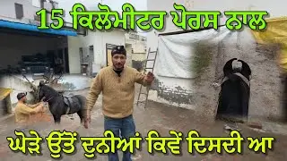 15 ਕਿਲੋਮੀਟਰ ਸਫ਼ਰ ਪੋਰਸ ਨਾਲ,, ਕਿਵੇਂ ਦਿਸਦੀ ਆ ਘੋੜੇ ਦੇ ਉੱਤੇ ਬੈਠੇ ਤੋਂ ਦੁਨੀਆਂ 