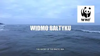 Widmo Bałtyku | The Ghost of the Baltic Sea | Short | Document about ghost nets