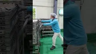 រោងចក្រផលិតទឹកដោះគោ នៅកូរ៉េ ( សម្រាប់កូនឆ្កែ ) | Korean dairy factory (for puppies)