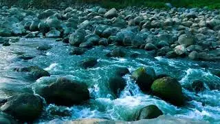 Your Personal Oasis of Calm, Deep Stream Ambience for Stress Reduction