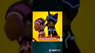 Chase x Skye