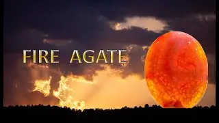 The Crystal Echoes -Fire Agate