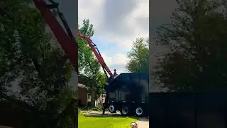 Grapple saw tree removal #satisfying cut and load #grapplesaw #grapplesawtruck